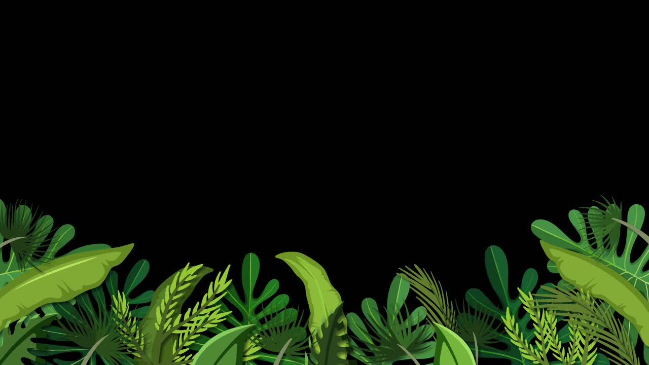 crecimiento animado de plantas tropicales vibrantes.