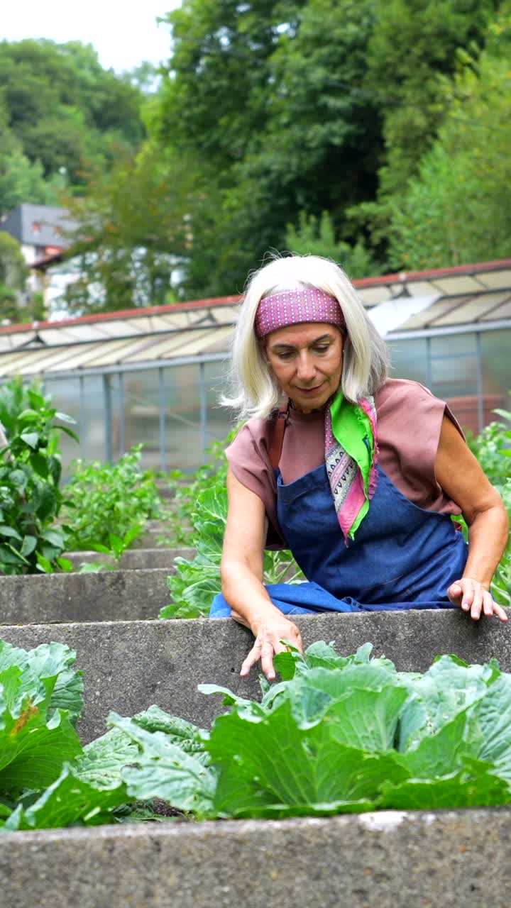 Woman gardening in a cabbage patch