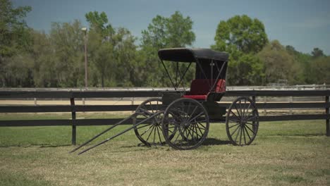 horse carriage wagon in a field