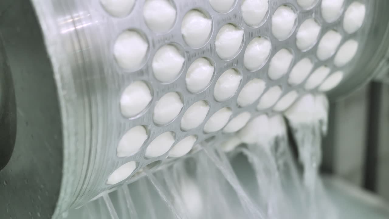 fábrica de queso que elabora queso baybe mutzarella