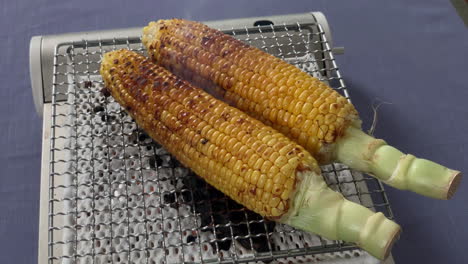 a japanese female chef puts shoyu on grilled corn at her home kitchen, tokyo, japan