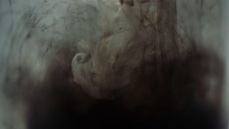 paint floating in water looking like majestic nebulas. stable shot with the sony a7iii
