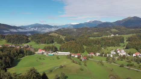 aerial view of pecine village in slovenia surrounded by forest and green hills