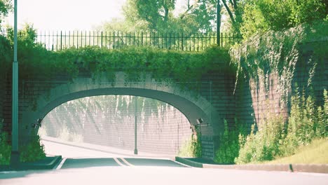 arch-bridge-with-living-bush-branches-in-park