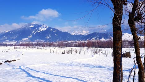 snow white in kashmir covered hills mountains plants valley