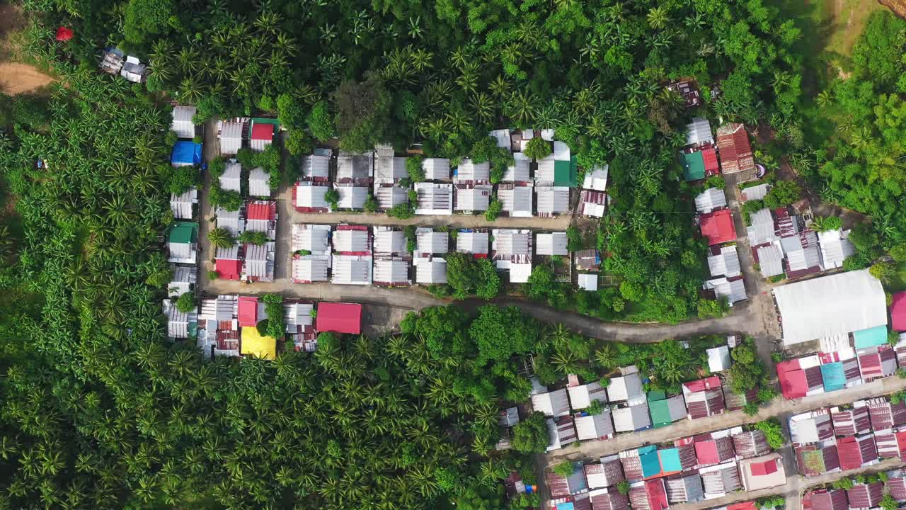 남부 레이테 세인트 버나드의 무성한 야자수에 있는 마을의 지붕 풍경