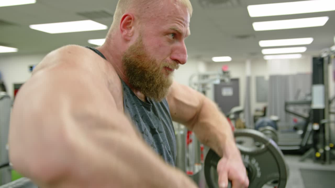 Gym Working Training. Fit Muscle Body Workout