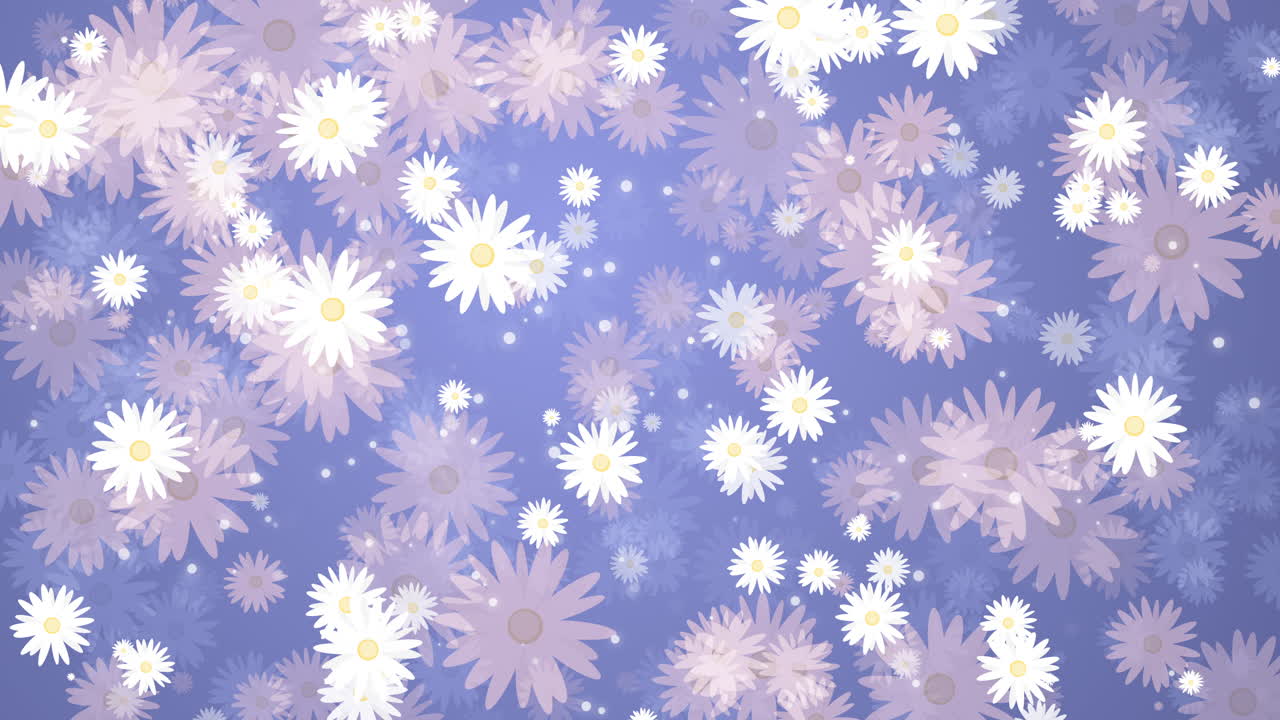 Chamomile white and pink flowers petals. Summer plants rotate, appear and disappear. Seamless blue background. Abstract motion graphics. Looped video.