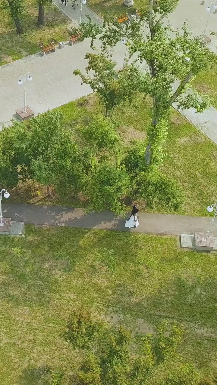 happy just married groom and bride walk along track in fresh green park on sunny day bird eye view