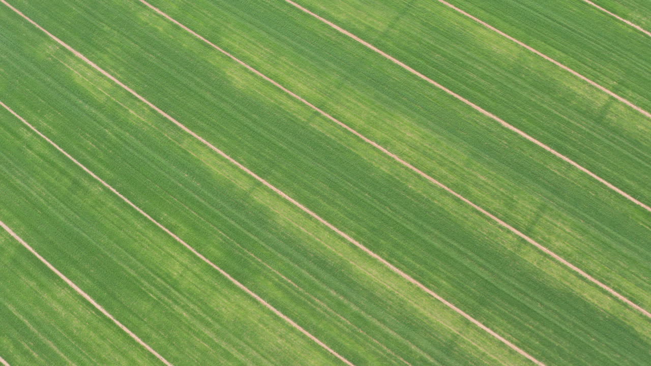 Perfect lines in diagonal aerial shot green grass fields Spain agricultural land