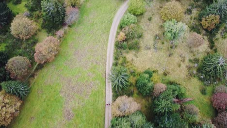 Aerial-follow-couple-with-balck-dog-hiking-on-a-natural-path-with-trees-and-field