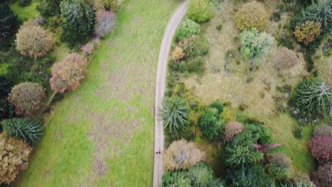 aerial follow couple with balck dog hiking on a natural path with trees and field