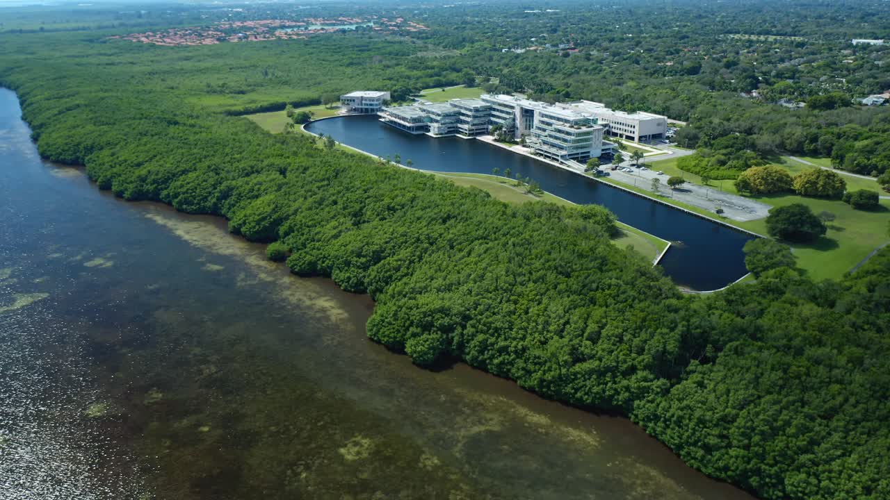 This footage shows a dense mangrove forest bordering a large water body along with modern waterfront buildings. The surrounding green landscape highlights the natural beauty of the coastal area