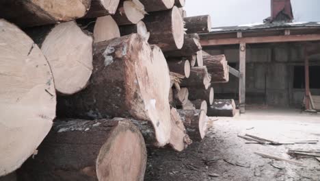 stacked firewood outside a building in winter