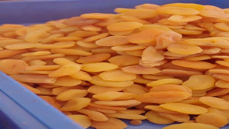 dried apricots in bulk