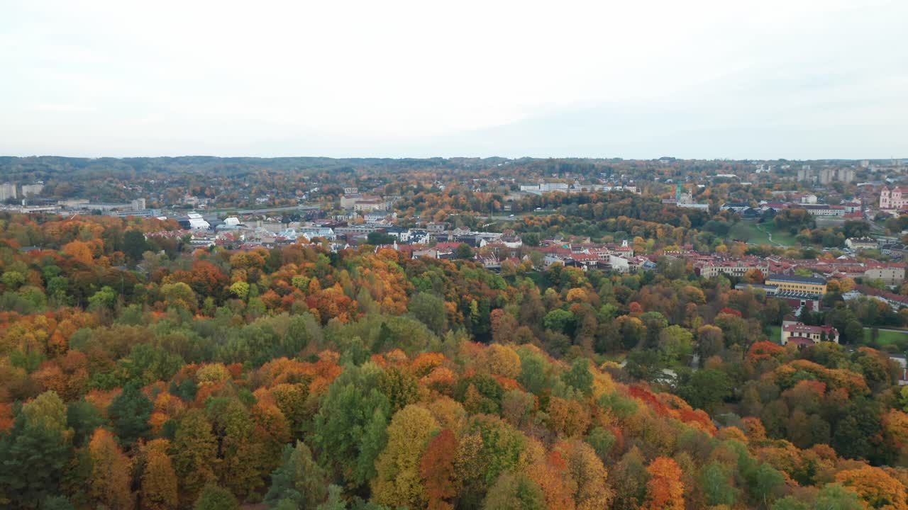 항공: 배경에 둔한 하늘이 있는 가을 숲 나무의 빌니우스 도시 파노라마