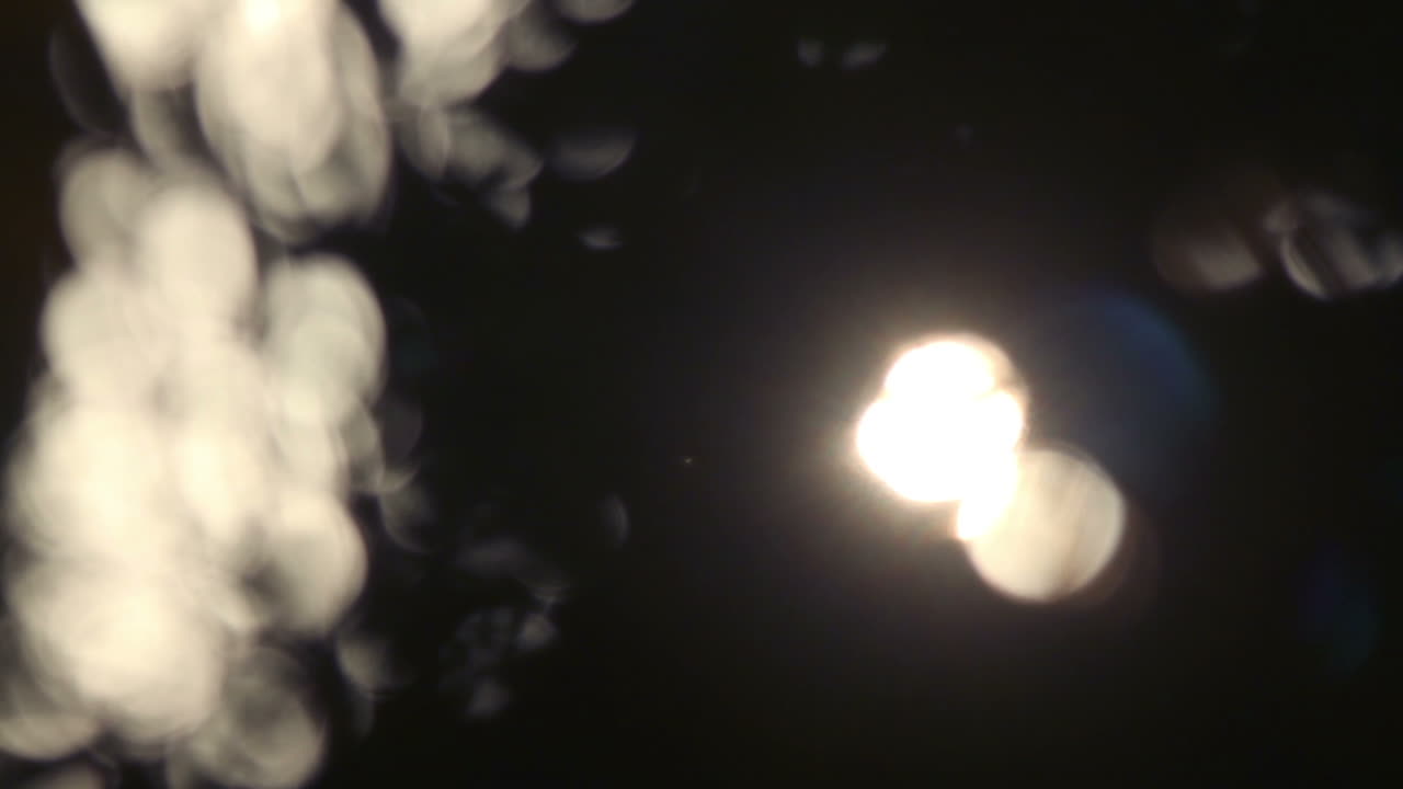 cancun palms video 12