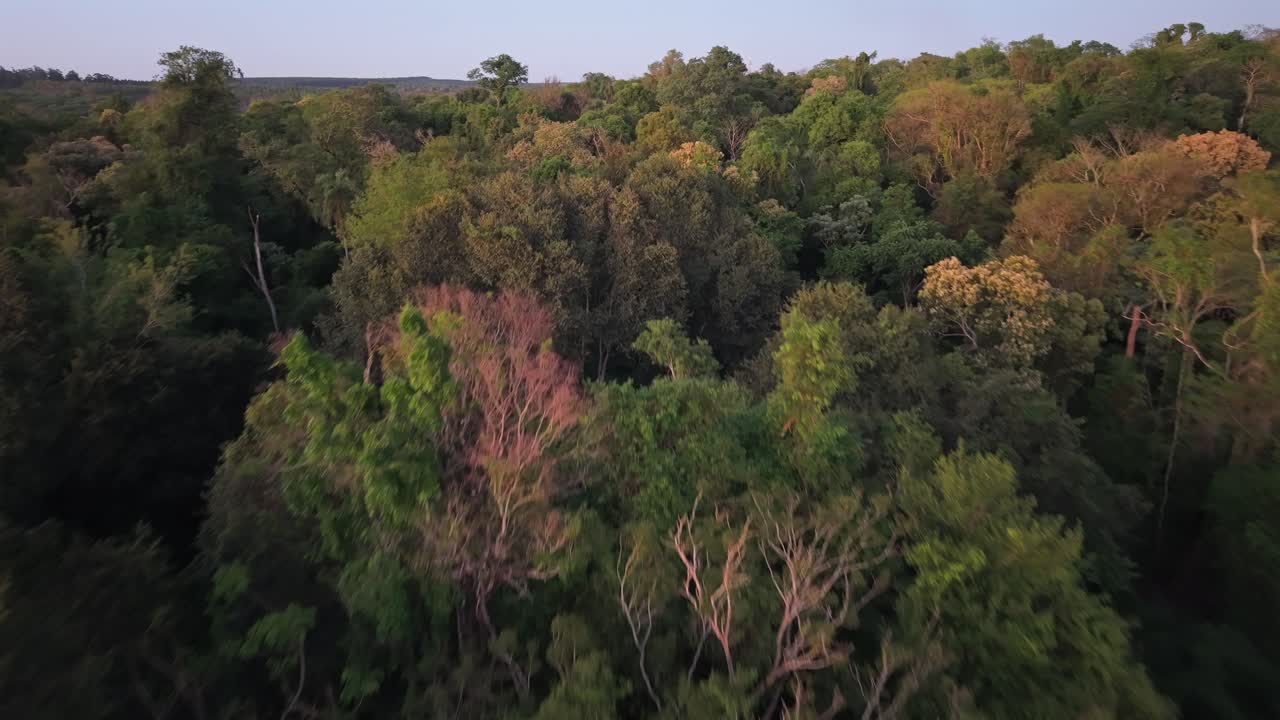 Svěží lesní krajina v Misiones, Argentina, letecký pohled