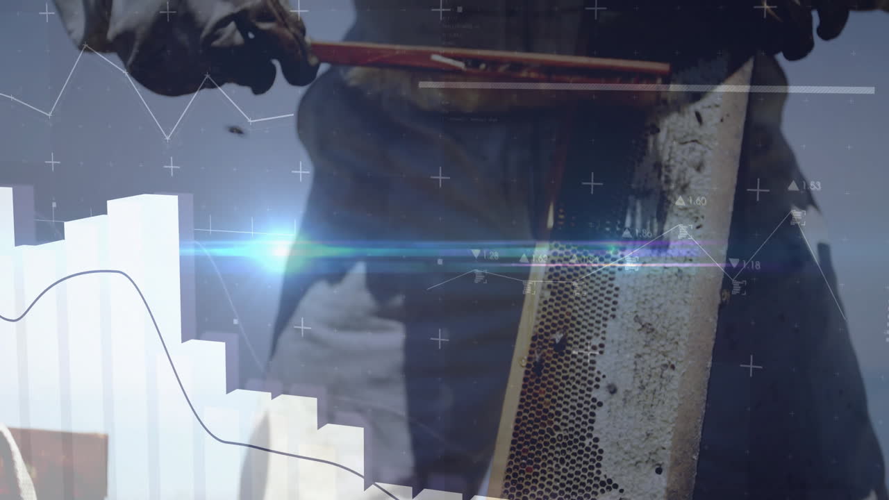 Beekeeper handling honeycomb frame, displaying technology data with bar charts and line graphs