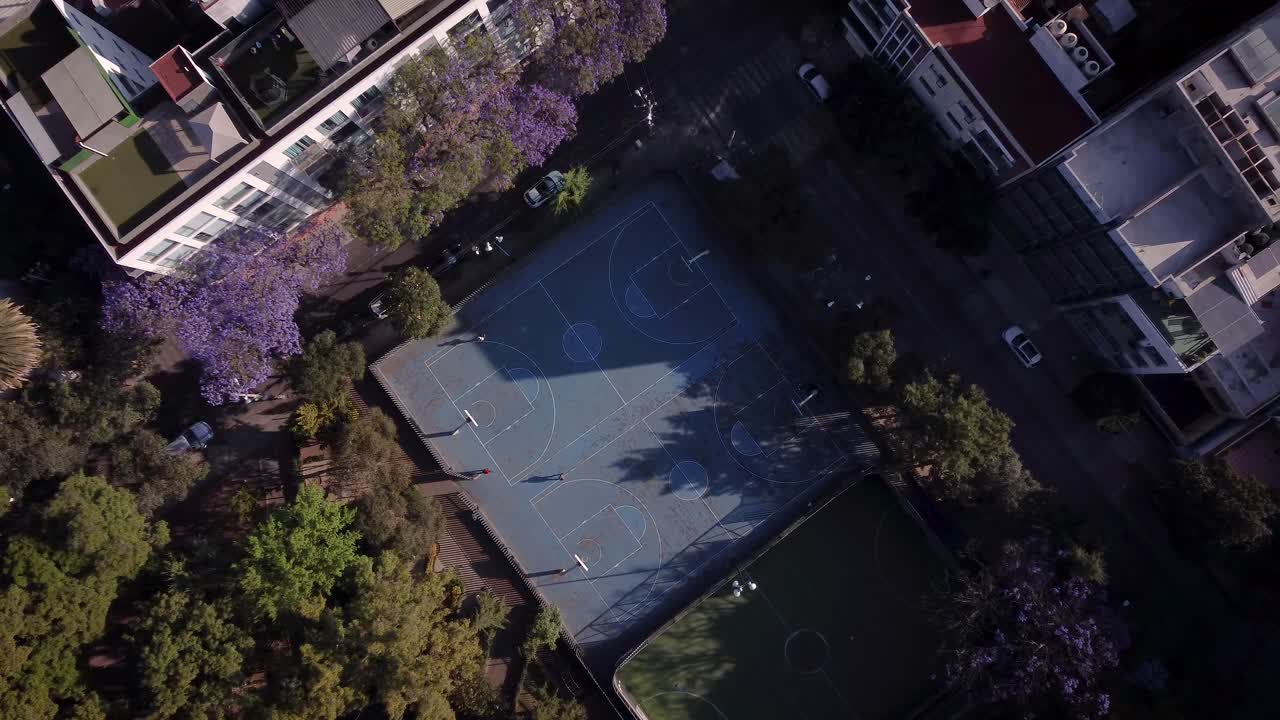 멕시코 시티에서 보라색 꽃이 있는 나무로 둘러싸인 탑다운 샷이 있는 드론에서 본 파란색 농구 코트