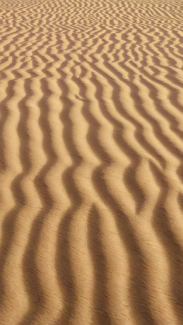 Video verticale: una camera in movimento rivela increspature di sabbia su una duna, mostrando ombre e tracce sulla cresta