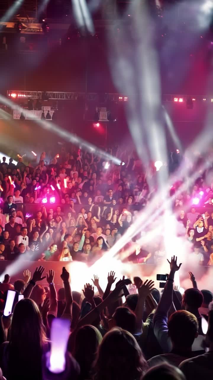 La folla energica del concerto