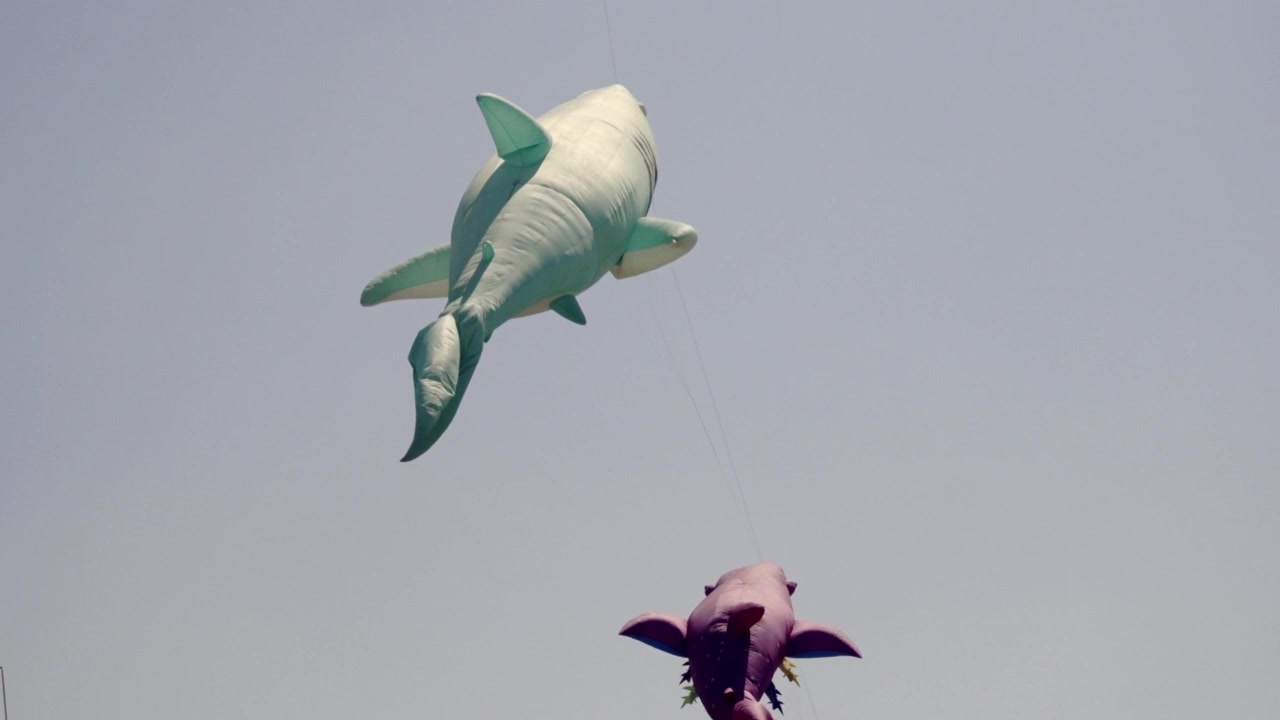 Colorful whale and bird shaped kites soaring against a clear blue sky during an outdoor festival in Cholula, Puebla, Mexico, celebrating creativity and cultural traditions.