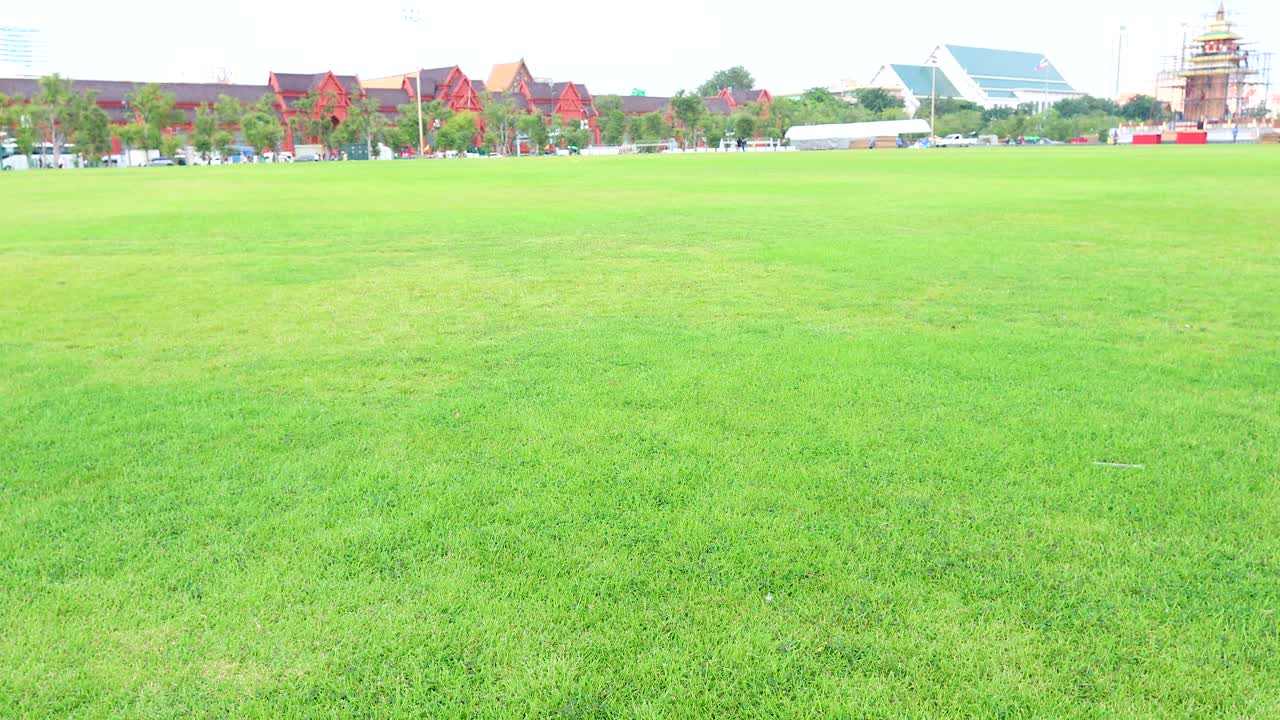 방의 wat phra kaew의 조용한 장면, 밝은 낮빛 아래 푸른 잔디과 상징적인 건축물을 보여줍니다.