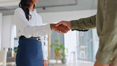 contratación, éxito o gente de negocios estrechando la mano