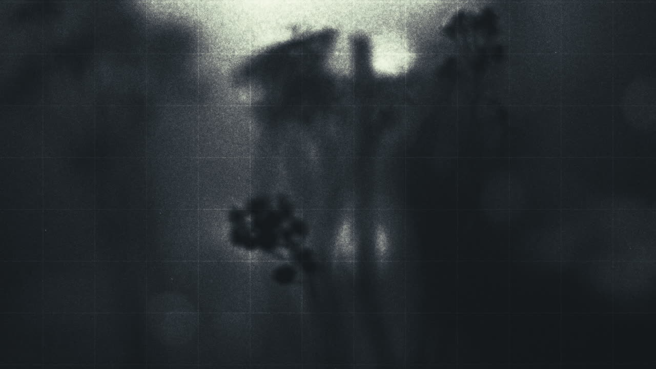 Old footage of weird science experiment - visions