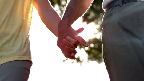 Senior-couple-holding-hands-on-sunny-day