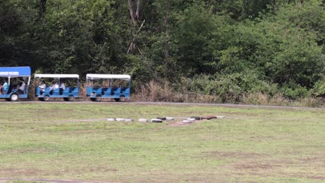 a small train carrying tourists across a green field