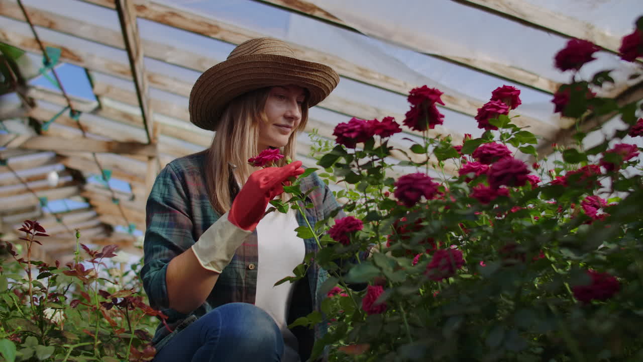 hermosa florista en delantal y guantes rosados de pie y felizmente trabajando con flores en el invernadero.