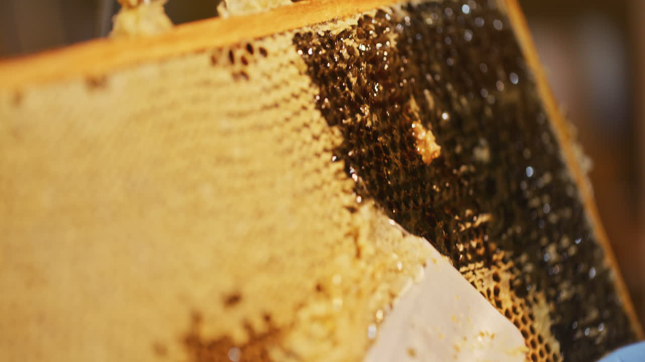 L'Apicoltore Rimuove la Cera con una Spatola