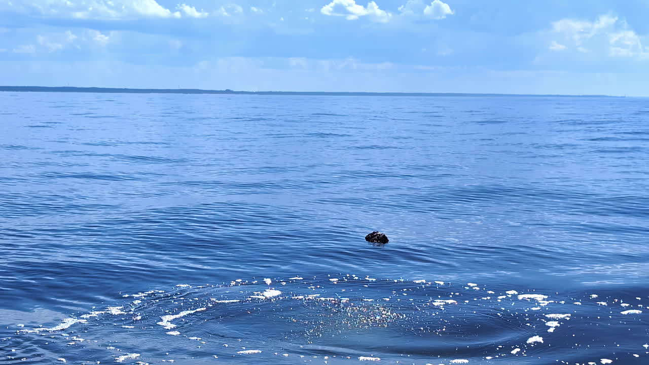 Calm relaxing deep blue water ripples caused by gentle winds