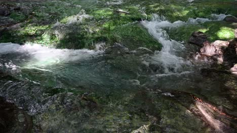 a waterfall with blue algae flows in a stream.