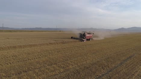 Aerial-Perspective-of-Wheat-Harvesting