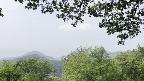 Grabando-En-Las-Siete-Montañas-En-Alemania-En-Niebla-Ligera-En-Las-Pequeñas-Montañas-Boscosas,-Dragon-Falls