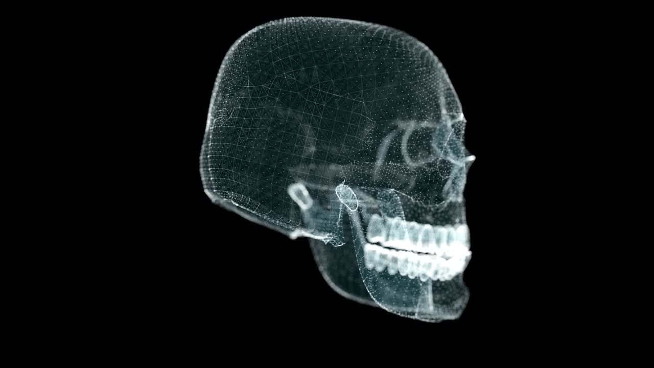 cuadrícula de animación del cráneo humano