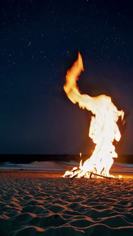 campfire on a starry beach night