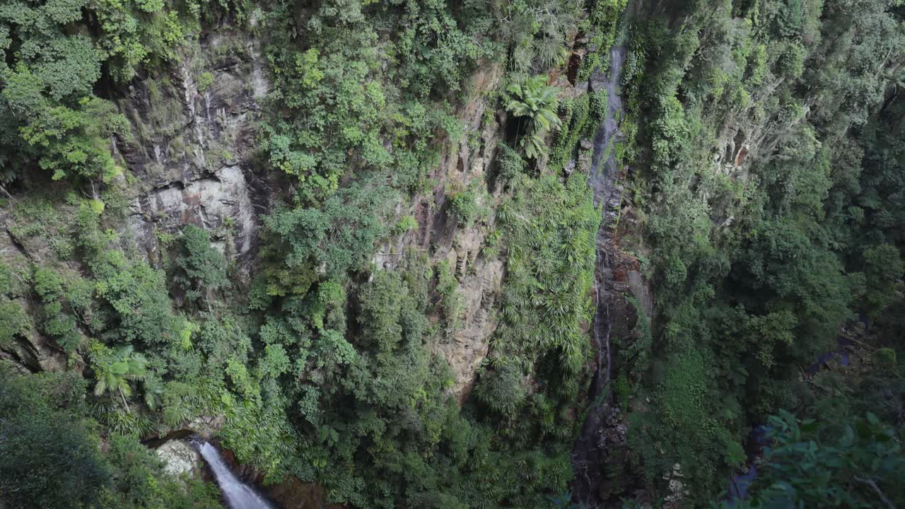 cascada en cascada en el denso valle de la selva tropical
