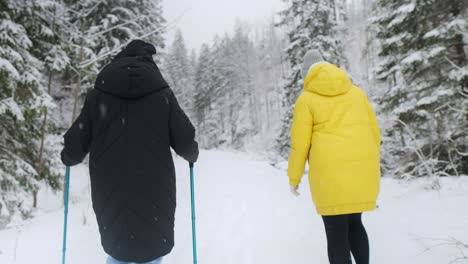 two people hiking in a snowy forest