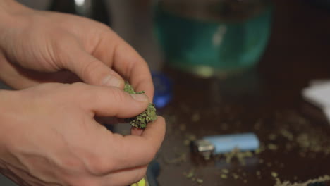 a fresh green marijuana bud is inspected with drug paraphernalia in the background