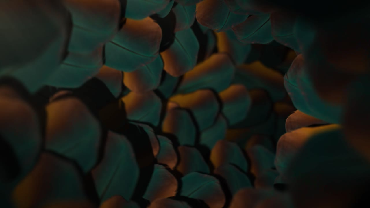 Nature Vortex of Feathers - Seamless Loop Background