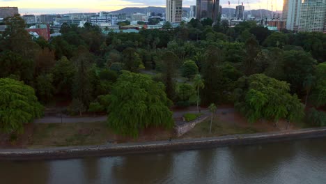 Frondosos-árboles-En-Bunya-Walk-En-Los-Jardines-Botánicos-De-Brisbane-En-Brisbane-Cbd,-Queensland,-Australia