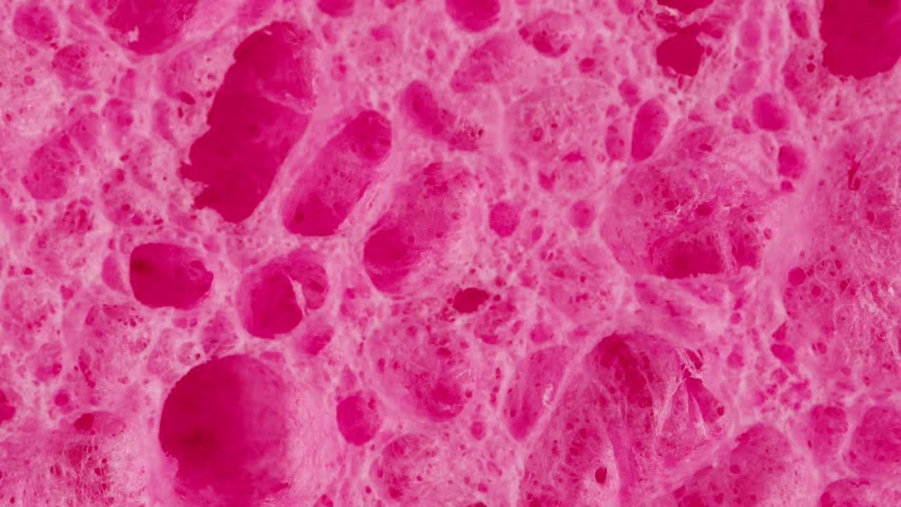 Close-up of a Pink Sponge