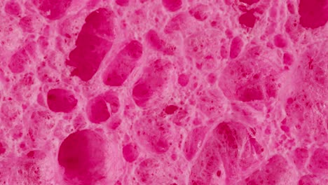 close-up of a pink sponge