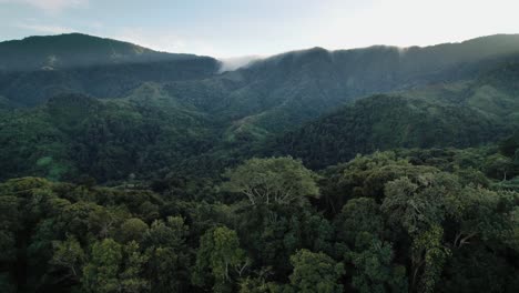 jungle mountains in costa rica trees morning