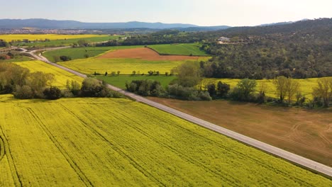 Paisaje-Rural-Con-Tierras-De-Cultivo-De-Colza-Y-Carretera