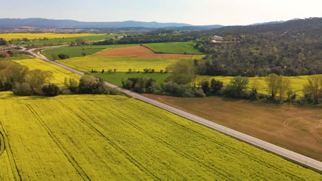 paisaje rural con carreteras y tierras cultivadas de colza